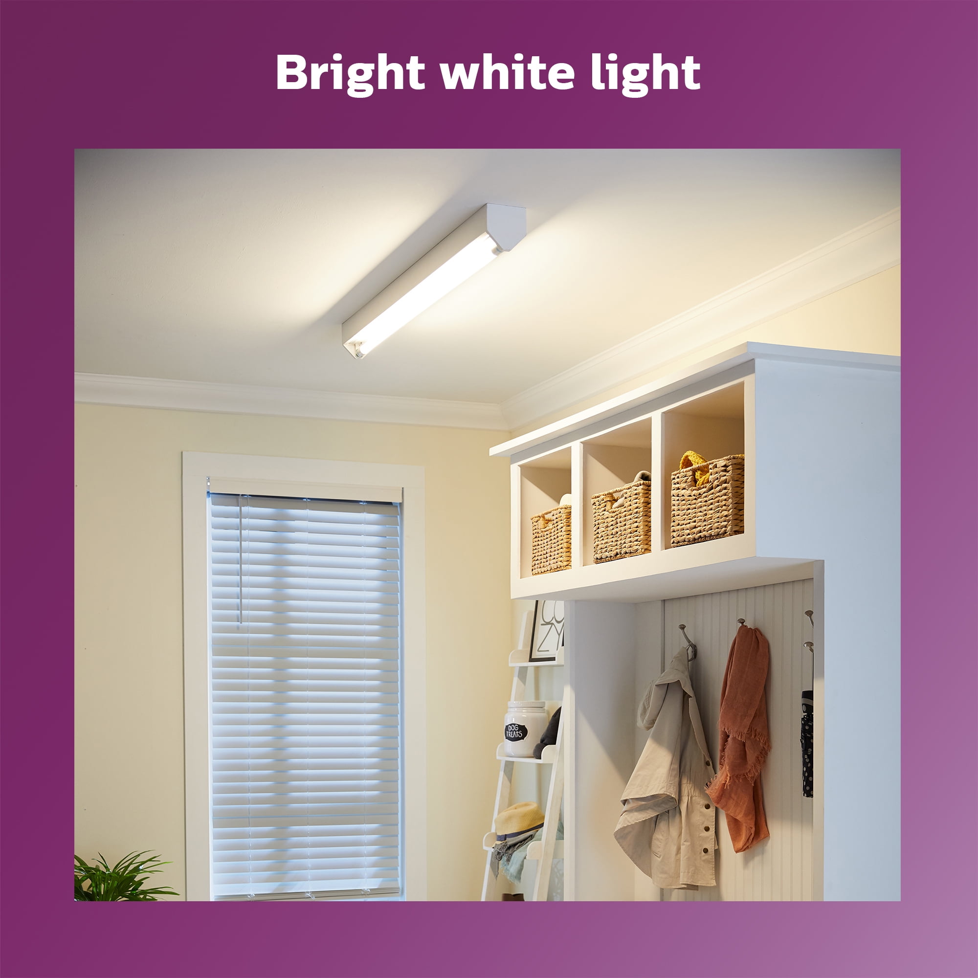(5 pack) Philips Plug and Play 4Ft (48-inch) Type A T8/T12 Warm White (3000 Kelvin) 32-Watt LED Tube (2 Pack)