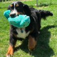 thumbnail image 2 of Peluche de peluche con forma de manatí SmartPetLove Snuggle Puppy, 2 of 8