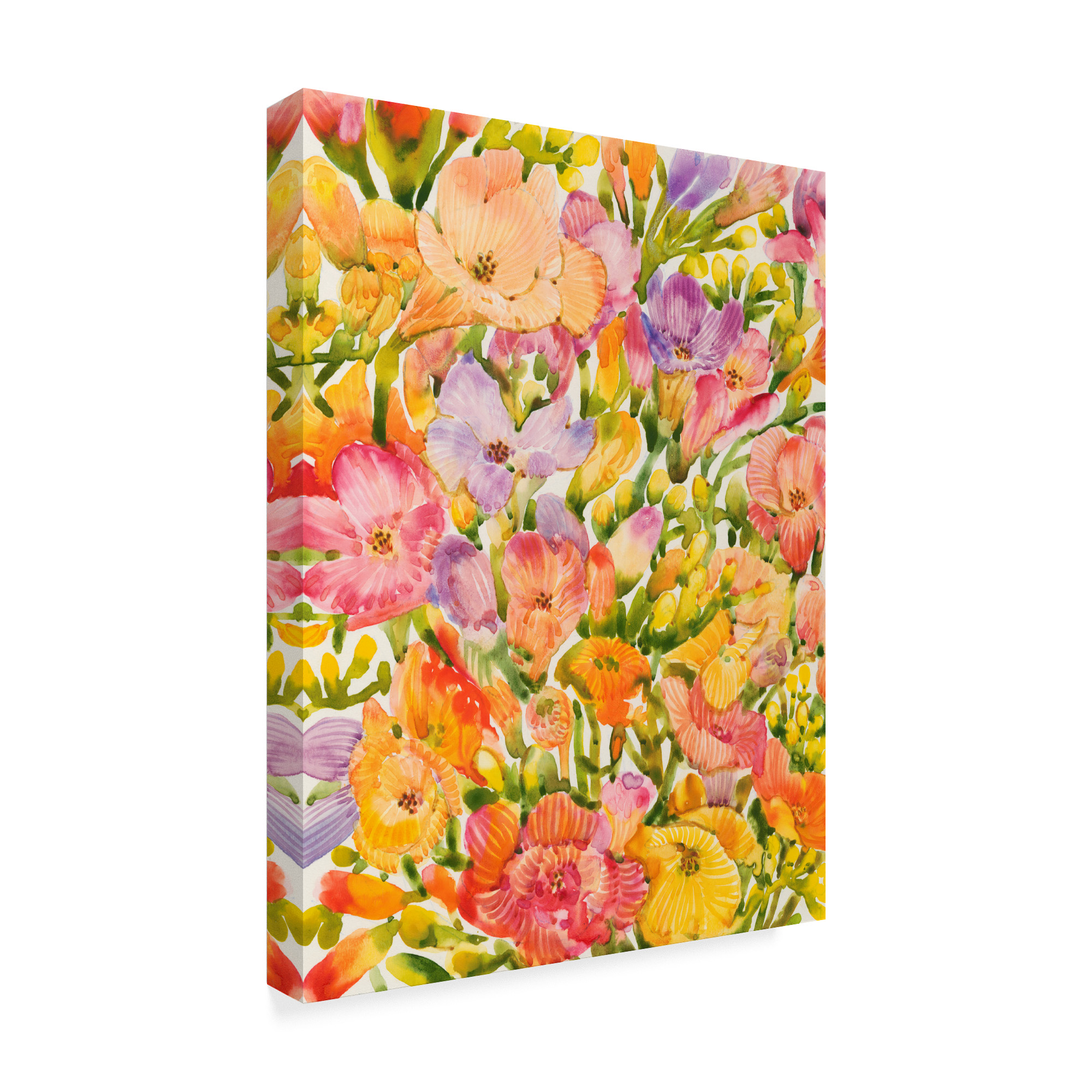 Trademark Fine Art 'Wildflower Study I' Canvas Art by Tim OToole