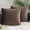 Coffee, variant on Cterwk Pack of 2 Velvet Throw Pillow Covers Soft Solid Decorative Square Cushion Case for Sofa Bedroom Living Room, 18x18 inch
