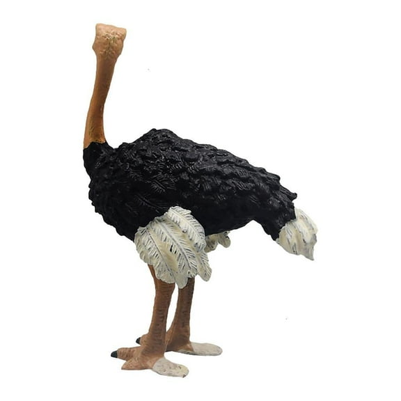 Realistic Ostrichs Figurines Educational Learning Toy Ostrichs Model Home Decorations WildlifeAn1ma1sFigures Gifts
