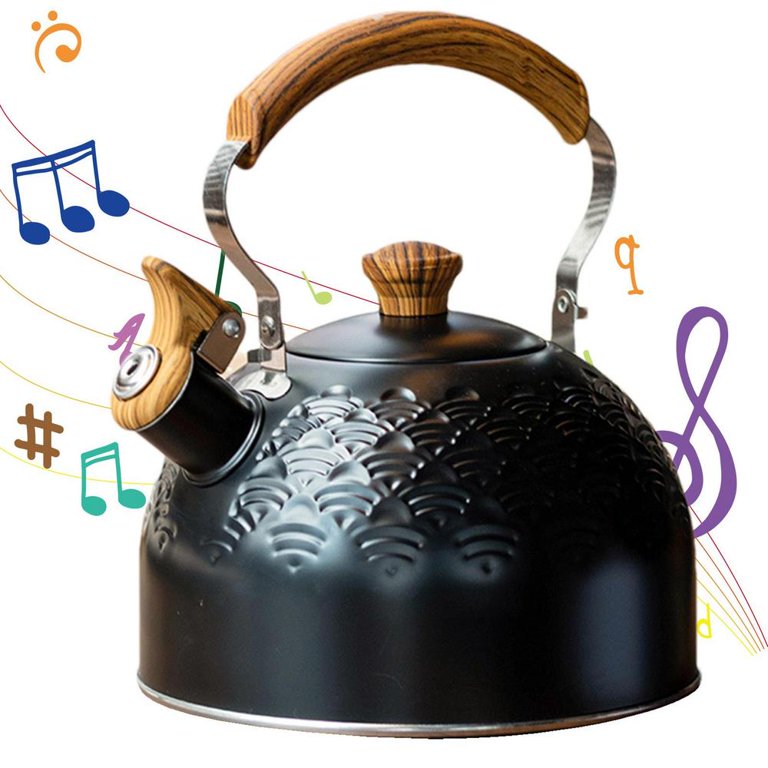 Studio Hot Water Tea Kettle Stainless Steel Tea Pot with Whistle