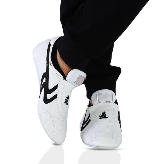 Wchiuoe TaiChi Shoes,Taekwondo Sport Boxing Kung fu TaiChi Lightweight Shoes for Men and Women, Fu Shoes