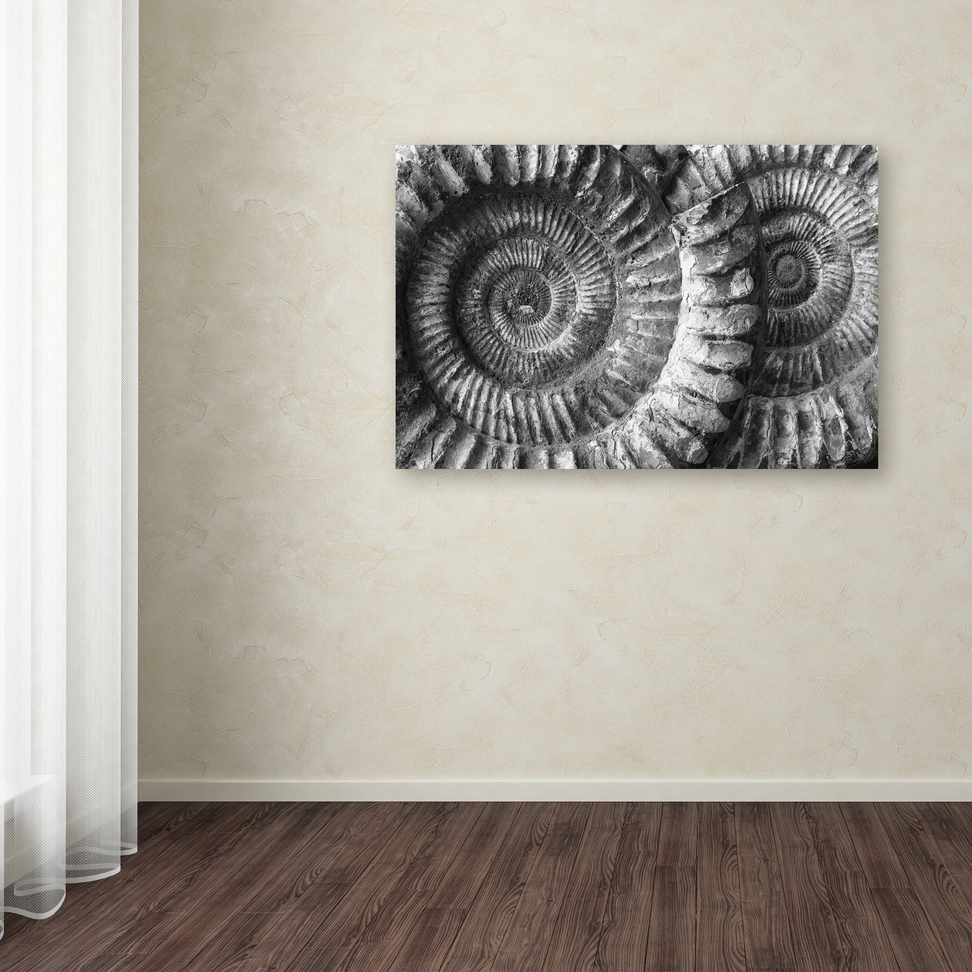 Moises Levy 'Amonita 3' Canvas Art