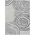thumbnail image 2 of Addison Rugs Chantille Indoor/Outdoor Transitional Swirls Gray Washable Rectangle Rug, 5' x 7'6", 2 of 6