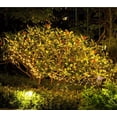 thumbnail image 3 of Guirnalda de luces solares, resistente al agua, alambre de cobre, decoración de cuerdas para jardín, balcón, terraza, puerta, patio, boda (luz blanca, 200 luces, 22 metros, control remoto, 2025 cuentas de lámpara grandes) Sailing Electrónica, 3 of 5