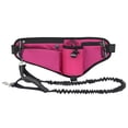 thumbnail image 3 of For Hands Free Dog Leash Waist Pack  Water Resistant  Night Reflective  Large Capacity for Outdoor Dog Walking, 3 of 7