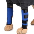 thumbnail image 3 of The hind leg joint wrap protects the wound while it heals, compresses the wrap, 3 of 5