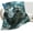 Crazy Cat, variant on Cardinal Bird Throw - Soft, Warm & Cozy Fleece Blanket for Couch, Sofa, Bed Perfect for Girls, Boys, Women, Men, Kids & Adults