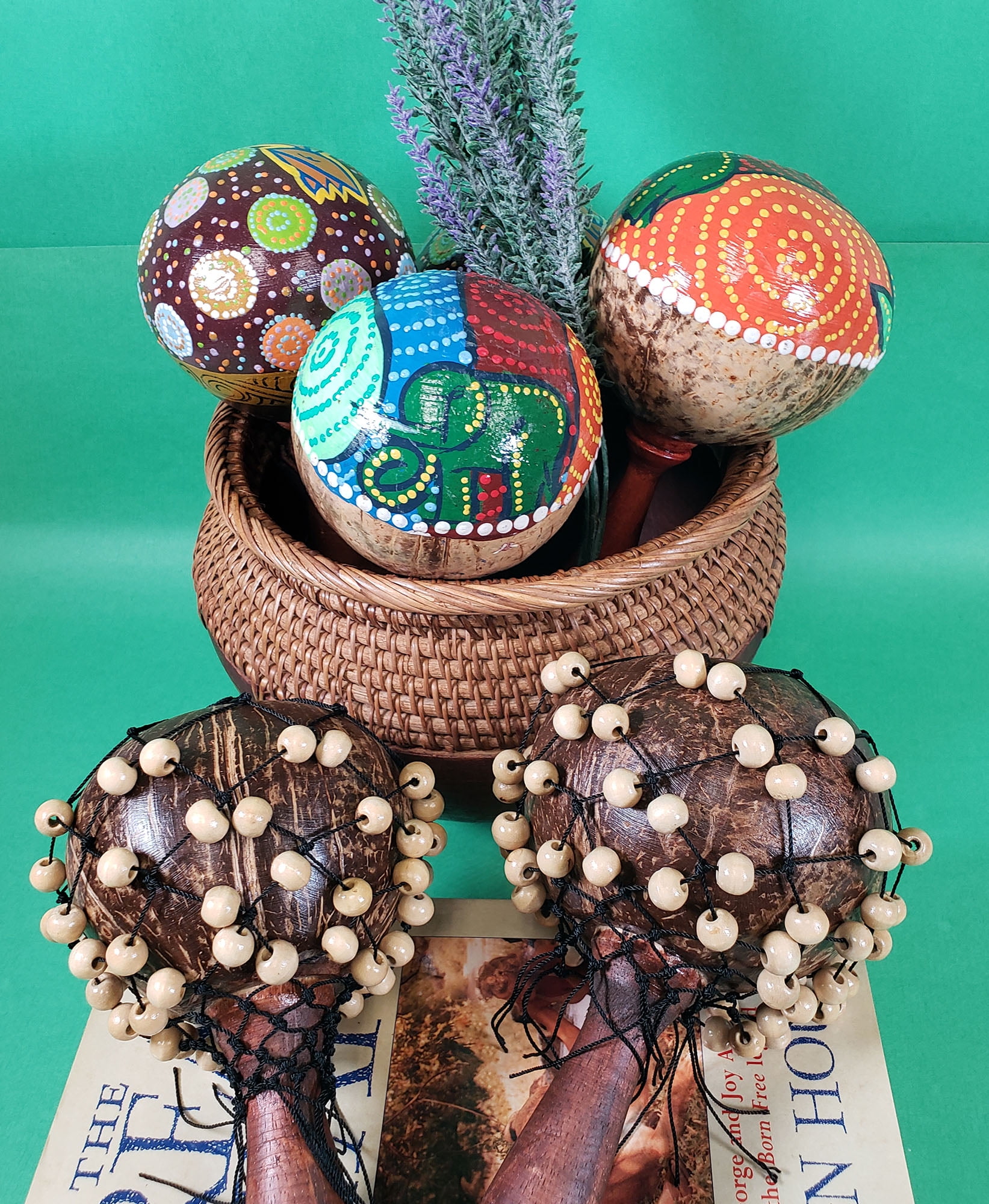 Coconut Maracas Shaker Rattles Hand Painted Percussion Instruments Set of 2