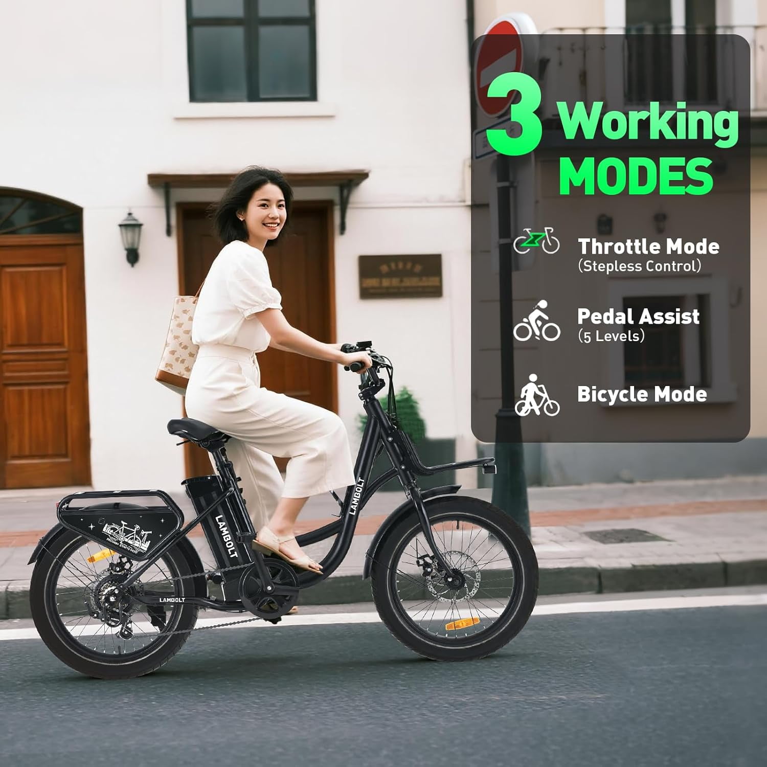 Adult Electric Bike, 1000W Peak Motor Ebike, 48V 15Ah Removable Battery, 20 inch Fat Tire, 7 Speed, Step-Thru Commuter Bicycle, 24MPH Max Speed, 70 Miles Long Range