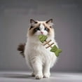 thumbnail image 6 of Natural Fishbone Cat Dental Toy, 7In Cat Chew Toy with Catnip & Natural Silvervine, Healthy Teeth Cleaning Dental Chew for Indoor Cats and All Cat Breeds with Edible Design, 6 of 10