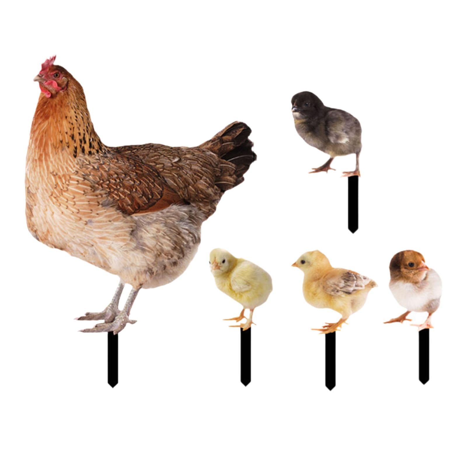 simhoa 5Pcs Hen Statue Garden Stakes Chicken Figurines Ground Insert Yard Sign Yard Art Animal Sculptures for Lawn Patio Floor Decor