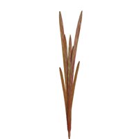 Floral Cymbidium Leaves-brown