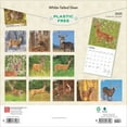 BrownTrout, White Tailed Deer 2025 Wall Calendar