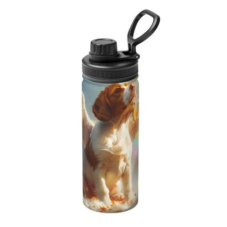 

Ocsxa Rainbow English Cocker Spaniel Print 18oz Stainless Steel Water Bottle Unisex Water Bottle Insulated Sports Water Cup Flask for Cold Water Drinks/Sports/Travel/Car/School