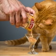 thumbnail image 4 of Hartz Delectables Ragoût Friandise Humide à Lécher pour Chats Thon & Poisson Blanc 40g, 4 of 7