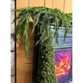 thumbnail image 4 of Natural Touch Weeping Cedar Garland 48 x 27 Inches, 4 of 8