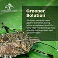 thumbnail image 6 of Donaldson Farms Stink Bug Killer Spray, 16 oz, 6 of 8