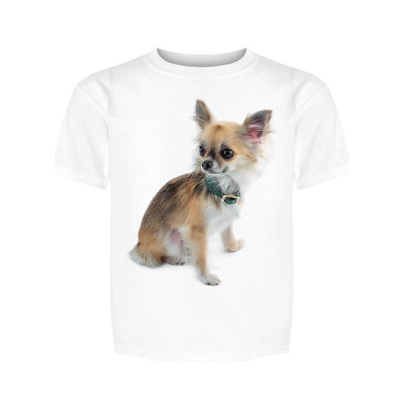 Chihuahua, Cute, Sitting Tee Girl's -Image by Shutterstock