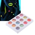 thumbnail image 4 of Nail Art Powder Beautiful Effect Body Fluorescente en polvo Seguro para festivales para fiestas para uñas postizas ANGGREK Otros, 4 of 8