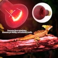 thumbnail image 3 of Lámpara calfactora para reptiles, lámpara calfactora por infrarrojos E27, Buen Efecto de Calentamiento, Lámpara de Calor para mascotas, Bombilla de calor nocturna, adecuada, 3 of 7
