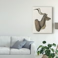 thumbnail image 3 of Trademark Fine Art 'Savanna Impressions IV' Canvas Art by Naomi McCavitt, 3 of 4