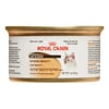 Royal Canin Feline Health Nutrition Intense Beauty Loaf in Sauce Wet Cat Food, 3 oz