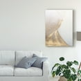 thumbnail image 3 of Trademark Fine Art 'Gold Fusion VI' Canvas Art by Julia Contacessi, 3 of 4