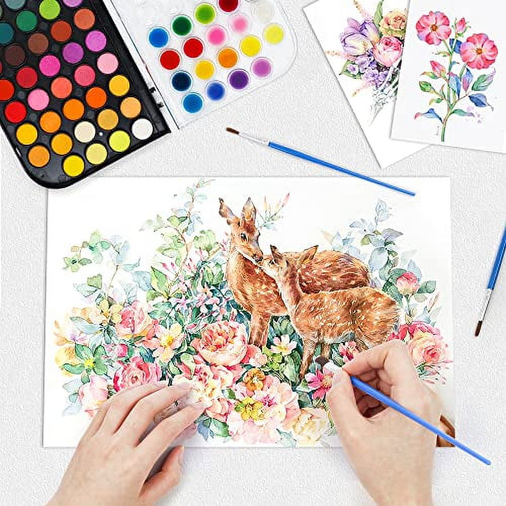 (3 pack) Shuttle Art 11.3 oz Assorted Watercolor Paint Set 3 Count