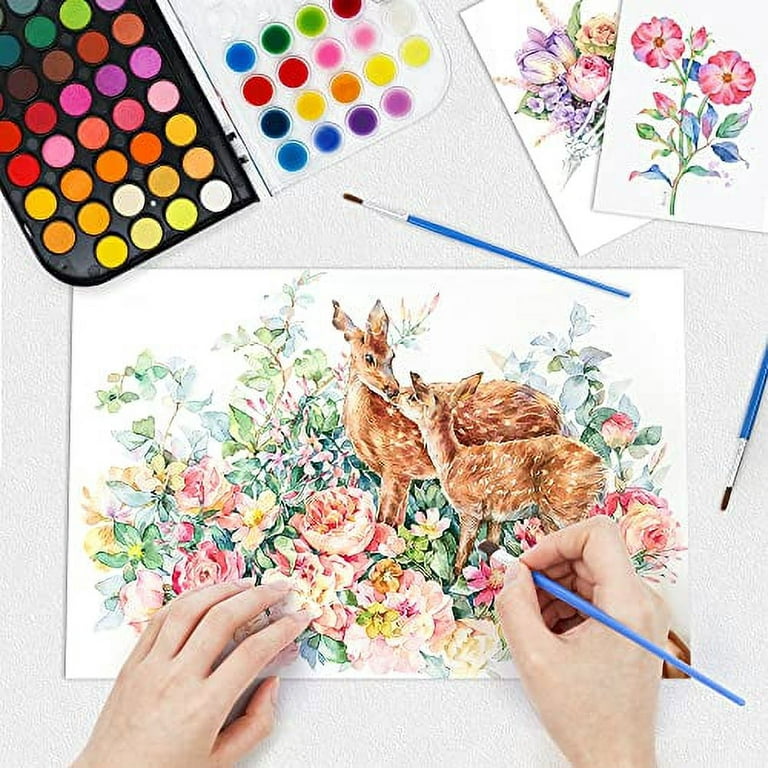 Taotree Watercolor Paint Set, 48-Color Watercolors Cake & a Brush a  Refillable Water Brush Pen, Port…See more Taotree Watercolor Paint Set,  48-Color