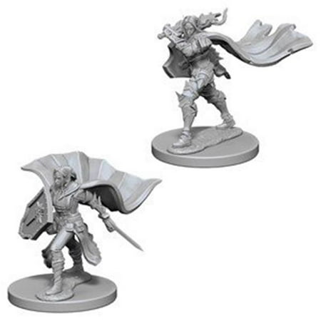 Elc Toy Shop - Pathfinder Deep Cuts Elf Female Paladin W4 Unpainted Miniatures WizKids WZK72609