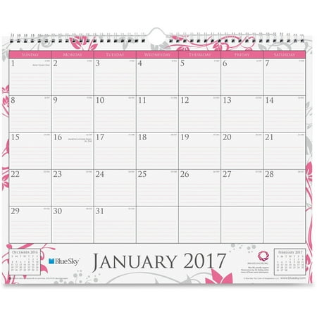 Blue Sky, BLS18033, BCA Alexandra Wall Calendar, 1 Each, Multicolor