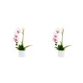 thumbnail image 1 of Advancent Sin flores de imitación marchitas para una belleza duradera en cualquier entorno Bonsái artificial sin riego Type3 NO3, 1 of 6