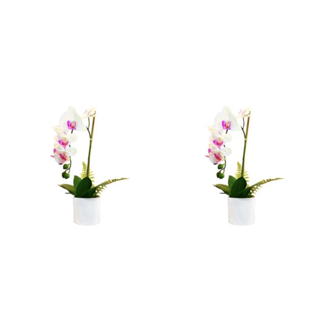 Advancent Sin flores de imitación marchitas para una belleza duradera en cualquier entorno Bonsái artificial sin riego Type3 NO3