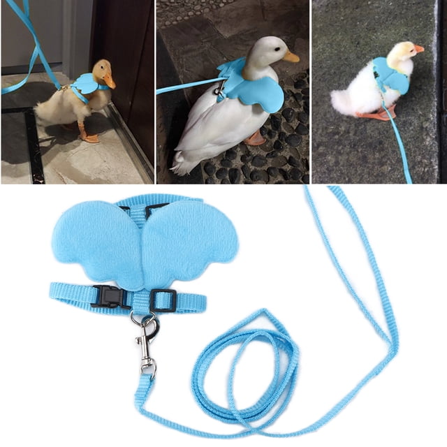 Arnés De Pollo, Arnés Para Caminar De Pato Para Mascotas, Correa Y Alas, Correa De Pollo, Correa Para Pájaros, Arnés Para Gallinas, Entrenamiento Al Aire Libre, Cuerda De