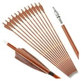 31Inch Carbon Arrow Practice Target Arrows with 4" Natural Spine 500
