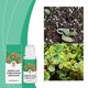 thumbnail image 4 of Potencias de Nutrientes, Plantas, Nutrientes, Crecimiento, Solución, Estructura Del Suelo, Fórmula, Fotosíntesis, Suelos, Hidropónicos, Entusiastas, Jardinería, Ingredientes Ecológicos, 4 of 7