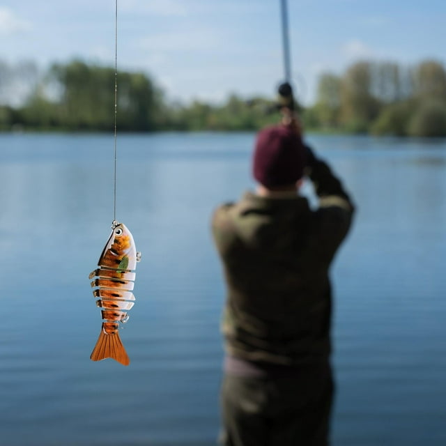 Hameçon 3D Forme Réaliste de Poisson Fournitures de Pêche pour Amateurs de Pêche