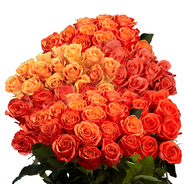 100 Orange Roses