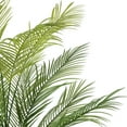 thumbnail image 4 of Vickerman 60" Green Areca Palm Plant. This is an artificial plant in a black plastic pot., 4 of 4