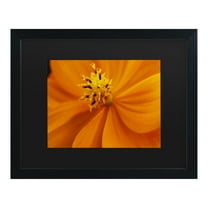 Trademark Fine Art 'Orange Flower' Canvas Art by Kurt Shaffer