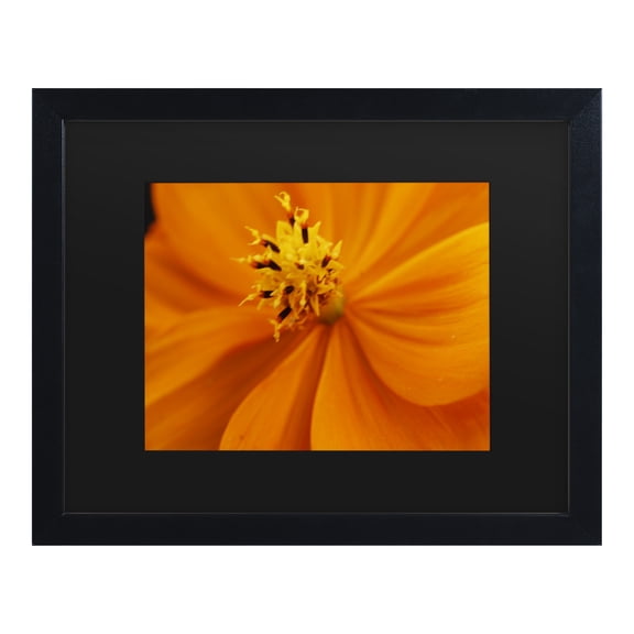 Trademark Fine Art 'Orange Flower' Canvas Art by Kurt Shaffer