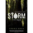 thumbnail image 2 of Storm, Virginia Bergin Paperback, 2 of 2