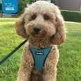 thumbnail image 2 of Voyager Step-in Air Dog Harness - All Weather Mesh Step in Vest Harness for Small and Medium Dogs and Cats - Harness (Turquoise 2-Tone), M (Chest: 16-18"), 2 of 10