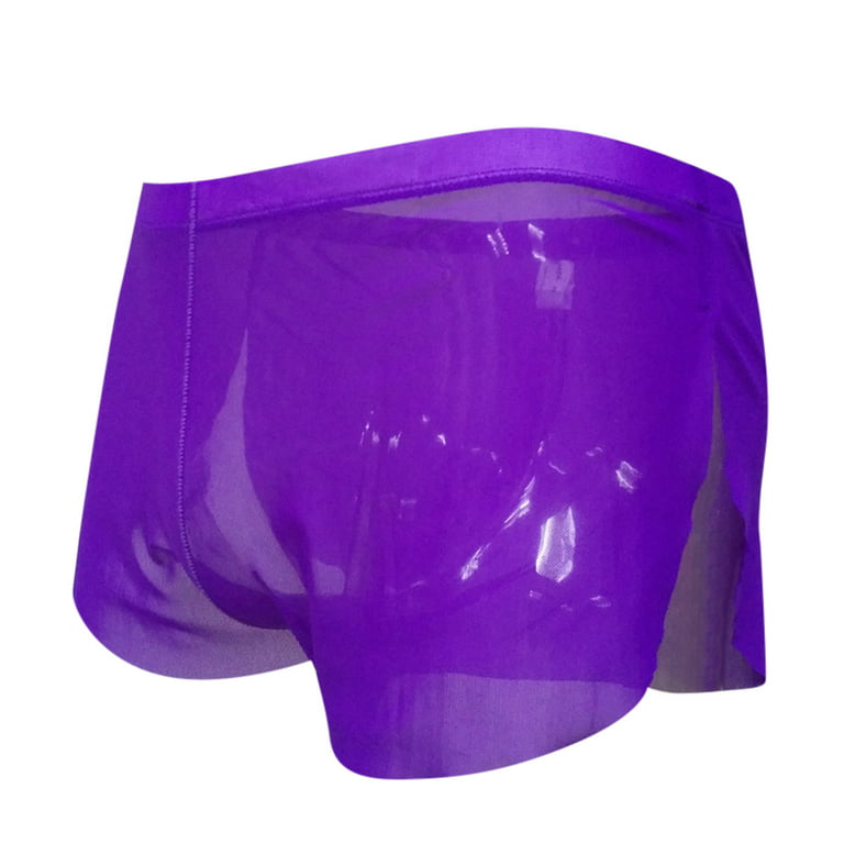 Trunk Style Briefs in Purple Interlock by Wood Underwear