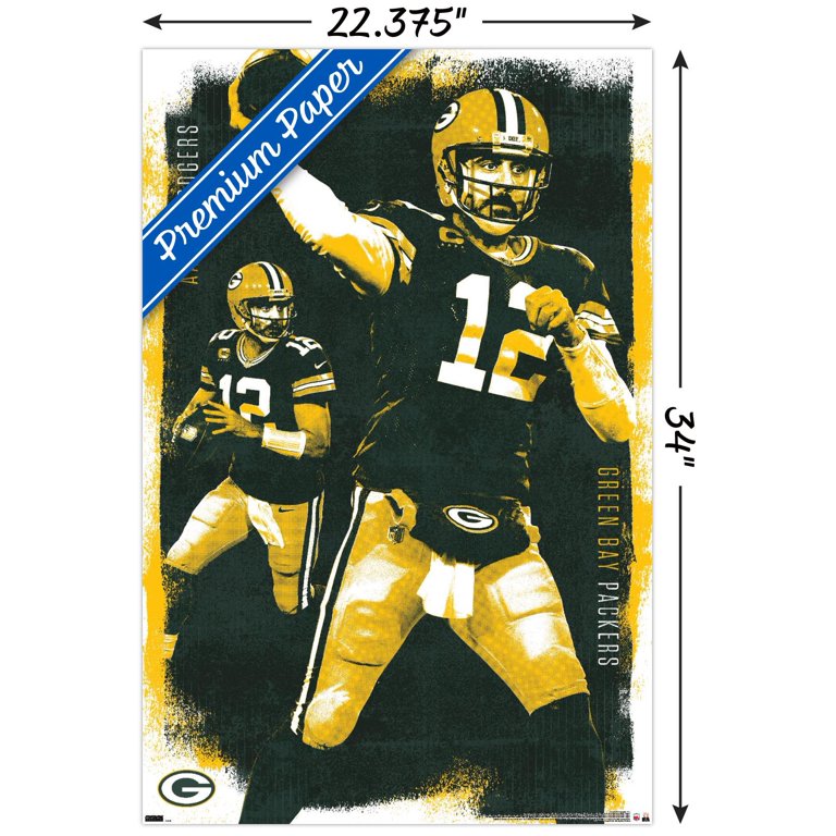 Charles Woodson Green Bay Packers Art 2 Canvas Print / Canvas Art by Joe  Hamilton - Pixels Merch