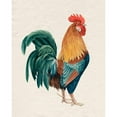 thumbnail image 3 of Popp, Grace 12x14 Black Modern Framed Museum Art Print Titled - Watercolor Rooster I, 3 of 5