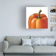 thumbnail image 3 of Lisa Audit 'Crunchy on White' Canvas Art, 3 of 4