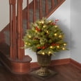 thumbnail image 2 of National Tree Company 2 ft. Pre-Lit Feel Real® Pre-Lit Artificial Porch Bush, Green, Colonial, Pine Cones, Red Berries, 50 Clear Lights, Urn Base, 2 of 3